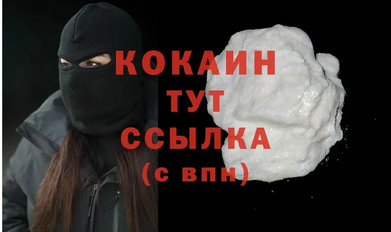 купить  цена  Бакал  Cocaine Эквадор 